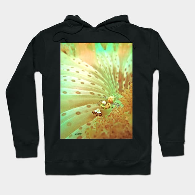 CNIDARIAN BIOTA Hoodie by dumbodancer